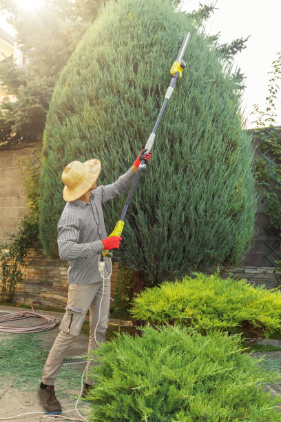 Best Best Tree Removal Services  in Gilbertsville, PA